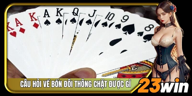 Giải đáp câu hỏi thường gặp về bốn đôi thông chặt được gì 