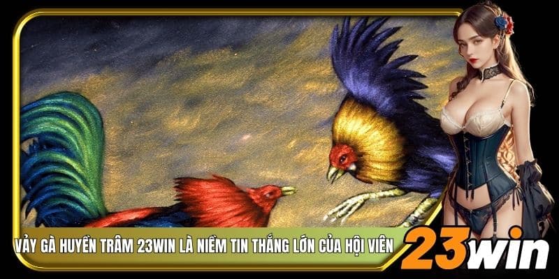Vảy gà huyền trâm 23Win là niềm tin thắng lớn của hội viên 